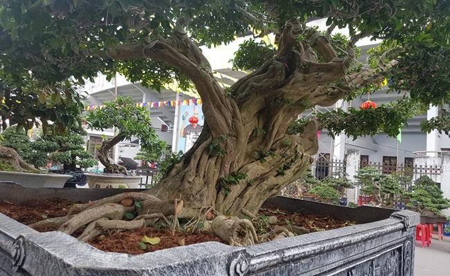 Nhung “quai cay” nhin nhu cui kho ma gia hang tram trieu toi vai ty-Hinh-15