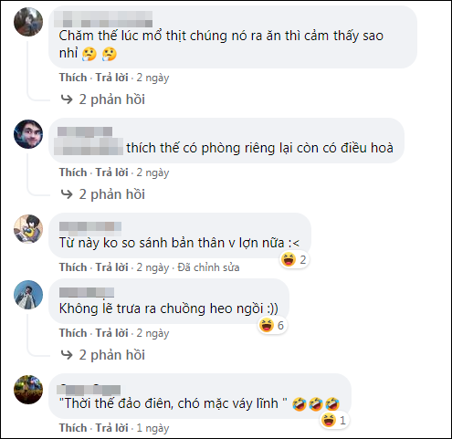 Giua mua nong, dan lon so huong khien ai nay phai ghen ti-Hinh-4