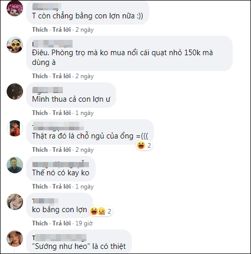 Giua mua nong, dan lon so huong khien ai nay phai ghen ti-Hinh-5