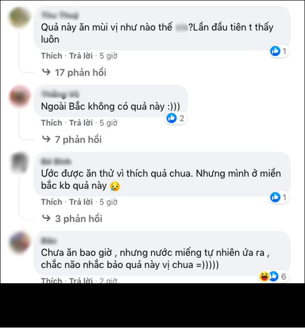 Khoe loai qua dac san mien Tay, chang trai khien netizen “ua nuoc mieng“-Hinh-4