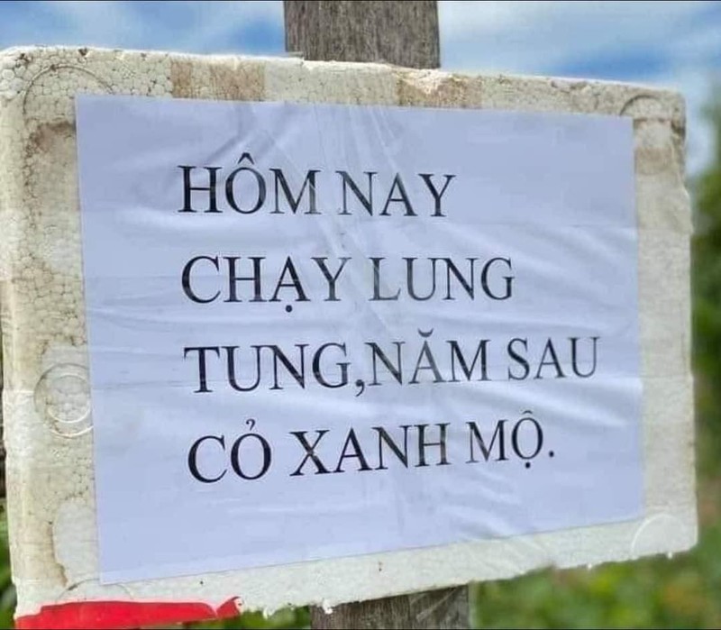 Netizen cuoi ngat voi loat tho than nhung ngay gian cach xa hoi-Hinh-7