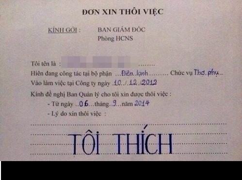 Xuat hien don xin nghi viec bang banh kem vo cung doc dao-Hinh-4