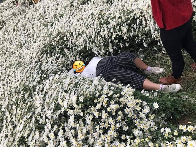 Thay do giua vuon cuc hoa mi, co gai bi netizen “nem da“-Hinh-5
