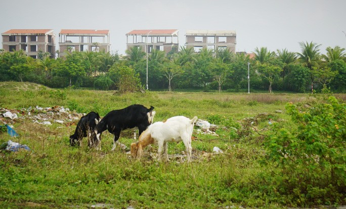 2 khu dat lien quan vu GD doanh nghiep uong thuoc tu tu tai toa gio ra sao?-Hinh-10