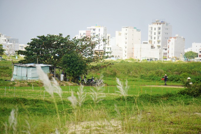 2 khu dat lien quan vu GD doanh nghiep uong thuoc tu tu tai toa gio ra sao?-Hinh-11