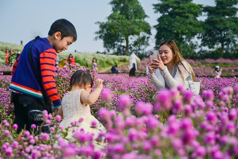 Gioi tre do ve vuon hoa o Ha Noi chup anh dau nam-Hinh-4