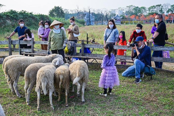 Gioi tre do ve vuon hoa o Ha Noi chup anh dau nam-Hinh-9