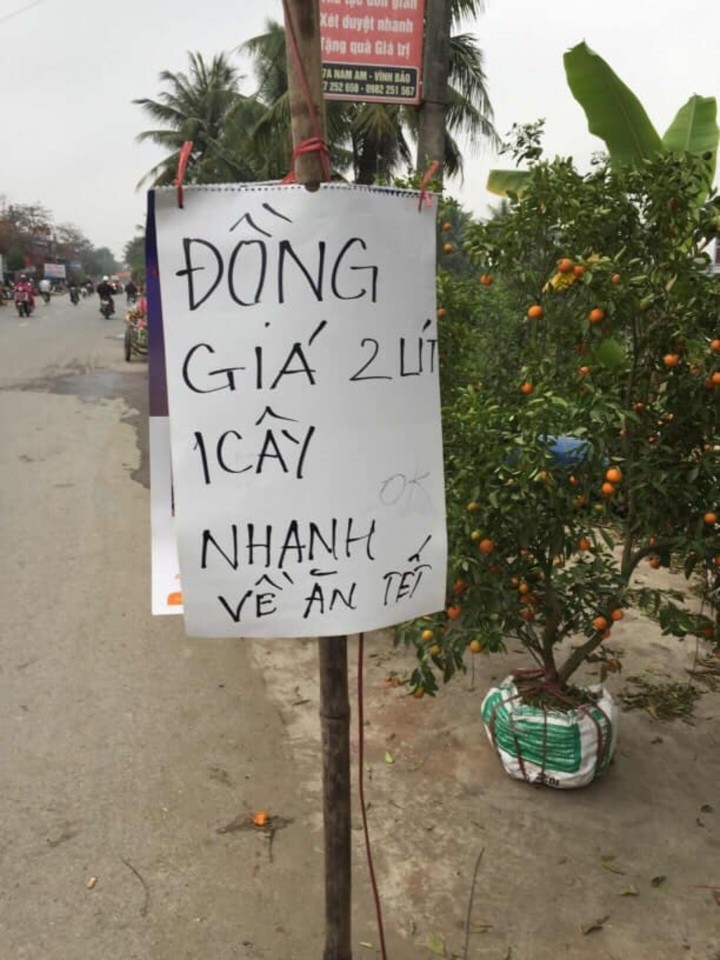 Ngay giap Tet netizen chet cuoi voi nhung tam bien quang cao xa hang-Hinh-2