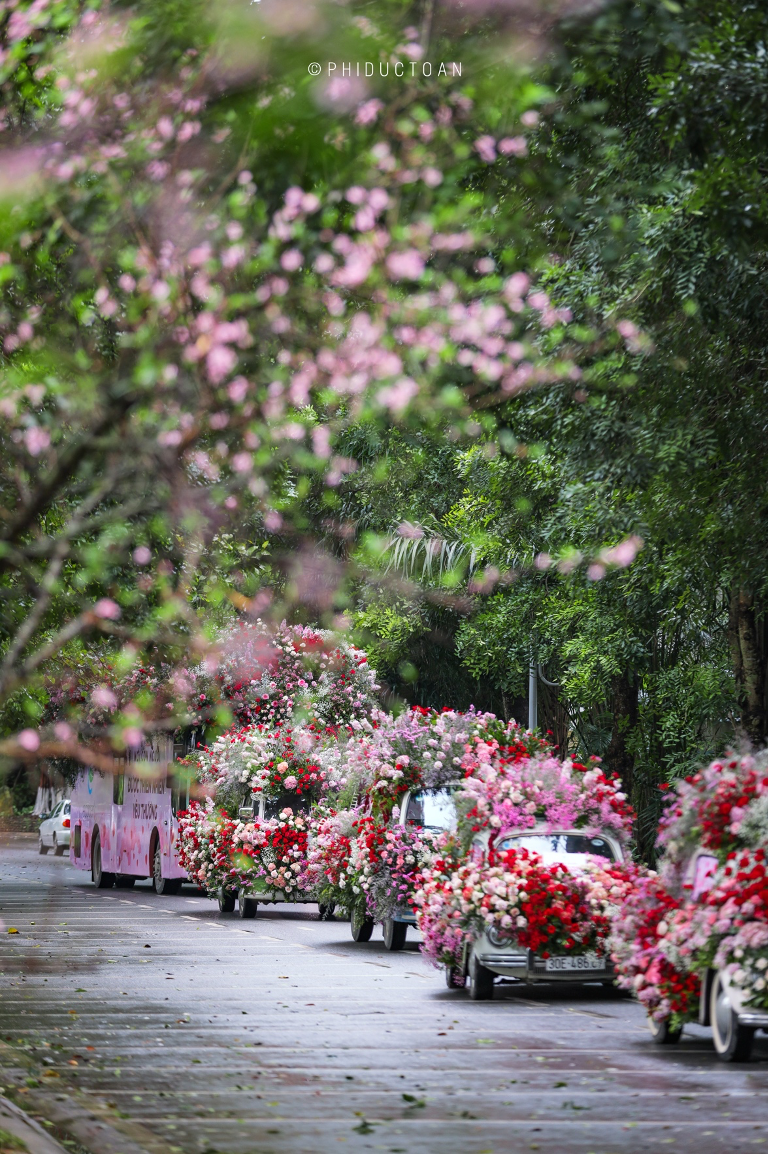 Duong pho Ha Noi bat ngo ngap hoa trong ngay Valentine-Hinh-3