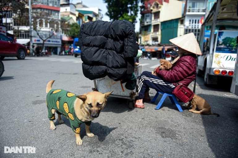 Cu ba 101 tuoi om dan cho di nhat rac, ban hang rong o Ha Noi-Hinh-5