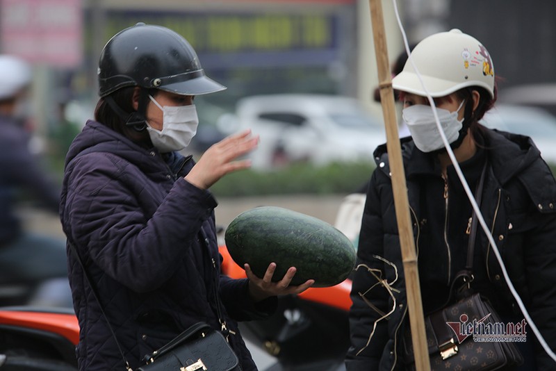 Ha Noi trien mien giai cuu: Nhung dong dua hau khap via he-Hinh-12