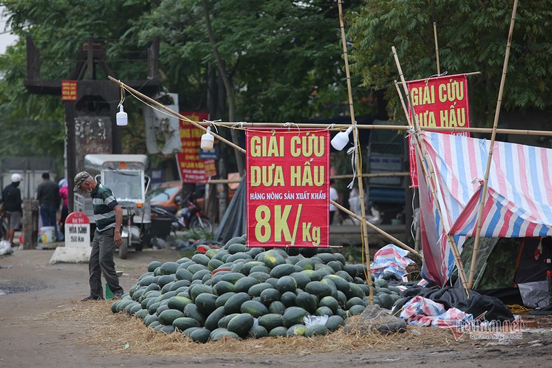 Ha Noi trien mien giai cuu: Nhung dong dua hau khap via he-Hinh-3