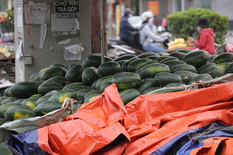 Ha Noi trien mien giai cuu: Nhung dong dua hau khap via he-Hinh-4