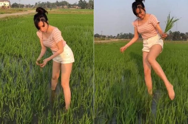 Hot girl Ba Tung ho bao khi thu hoach gung lam netizen xao xuyen-Hinh-10