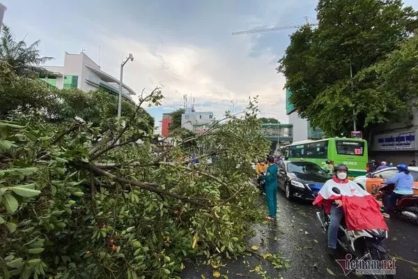 Du bao thoi tiet 6/4: Mien Bac tang nhiet, Nam Bo co mua to