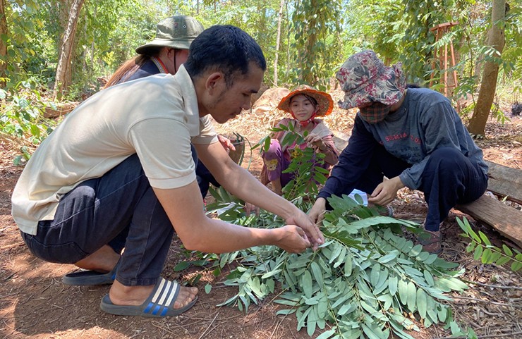 “Loc troi” o Tay Nguyen den mua bat dem ban 200.000 dong/kg-Hinh-10