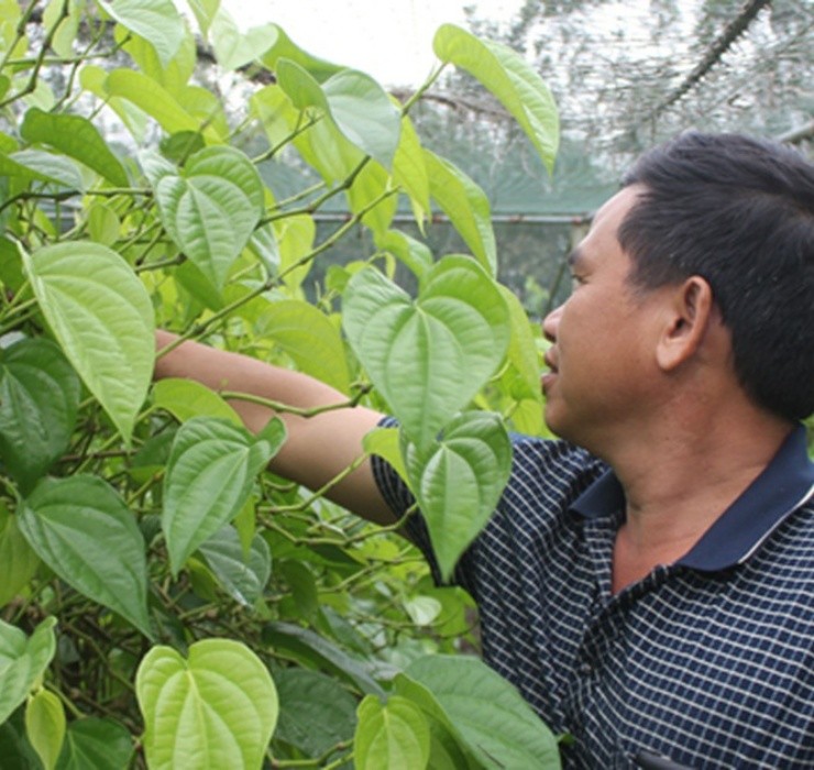 Ngheo rot mong toi bong doi doi nho thu rac thai nay-Hinh-11