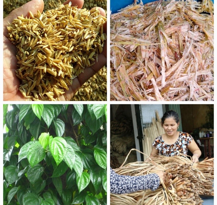 Ngheo rot mong toi bong doi doi nho thu rac thai nay