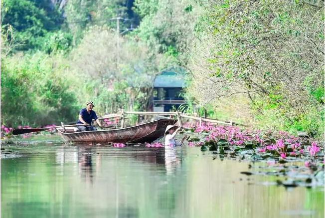 Meo mat voi nhung tham hoa bat dac di khi chup anh hoa sen-Hinh-10