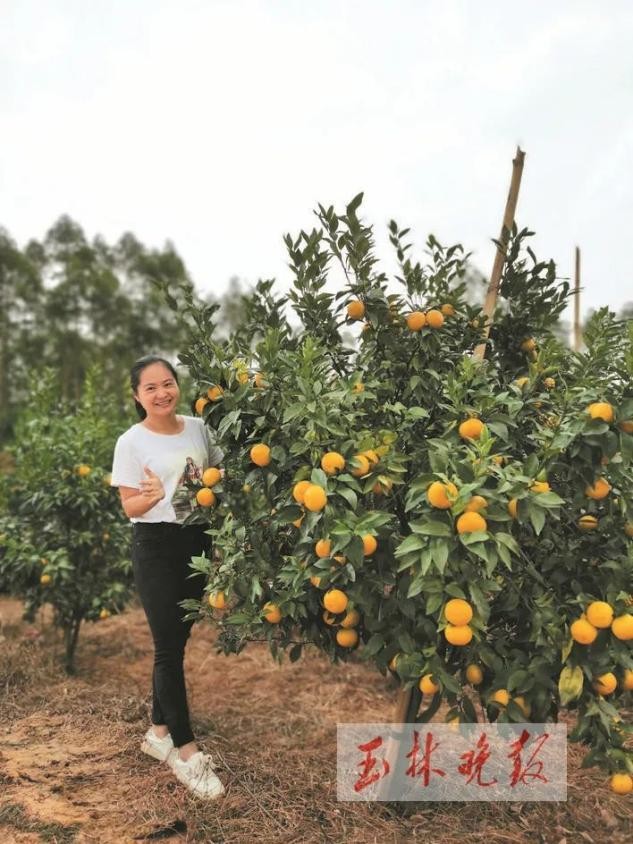 Tu choi luong 700 trieu, co gai trong thu ban kiem bac ty