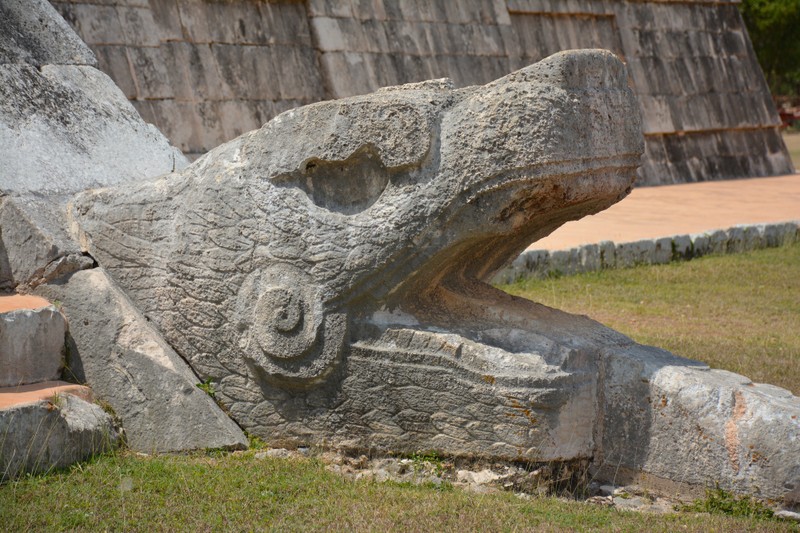 Tam quan trong cua dong vat trong tin nguong cong dong cu dan co dai-Hinh-3