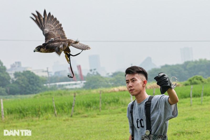 Dan choi Ha Noi chi chuc trieu nuoi loai chim 'trinh sat tren khong'-Hinh-2