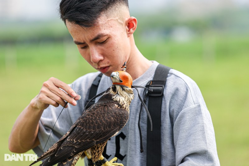 Dan choi Ha Noi chi chuc trieu nuoi loai chim 'trinh sat tren khong'-Hinh-4