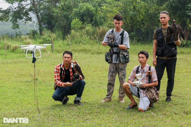 Dan choi Ha Noi chi chuc trieu nuoi loai chim 'trinh sat tren khong'