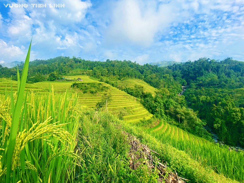 Ha Giang mua lua chin, xach balo len va check in 