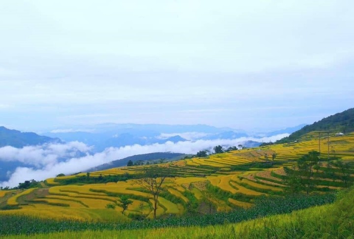 Den Tuyen Quang ngam ruong bac thang dep nhu tranh ve-Hinh-5