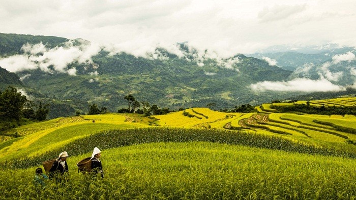 Den Tuyen Quang ngam ruong bac thang dep nhu tranh ve-Hinh-8