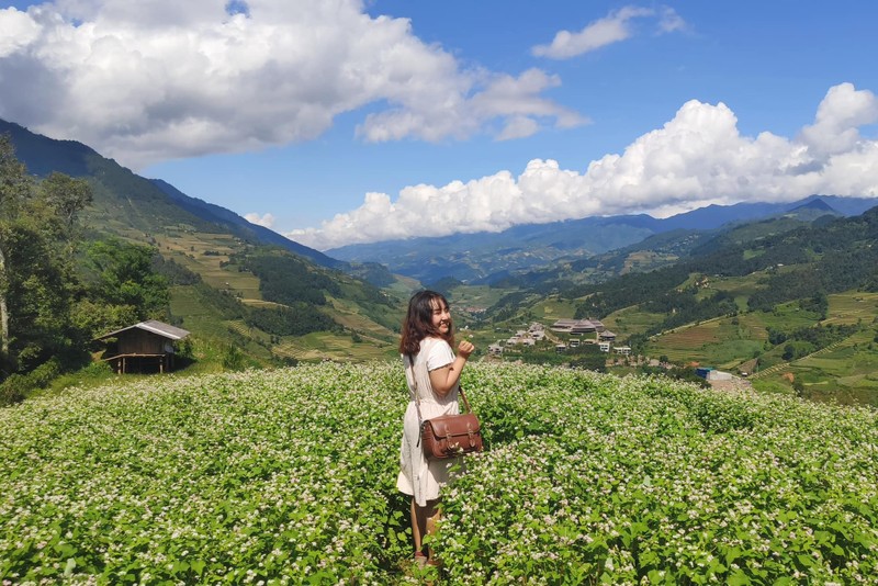 Cac diem ngam hoa tam giac mach no ro say long nguoi-Hinh-9