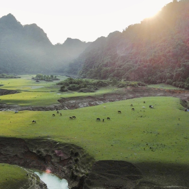 Check in thao nguyen Dong Lam o Lang Son dep nhu tranh-Hinh-8