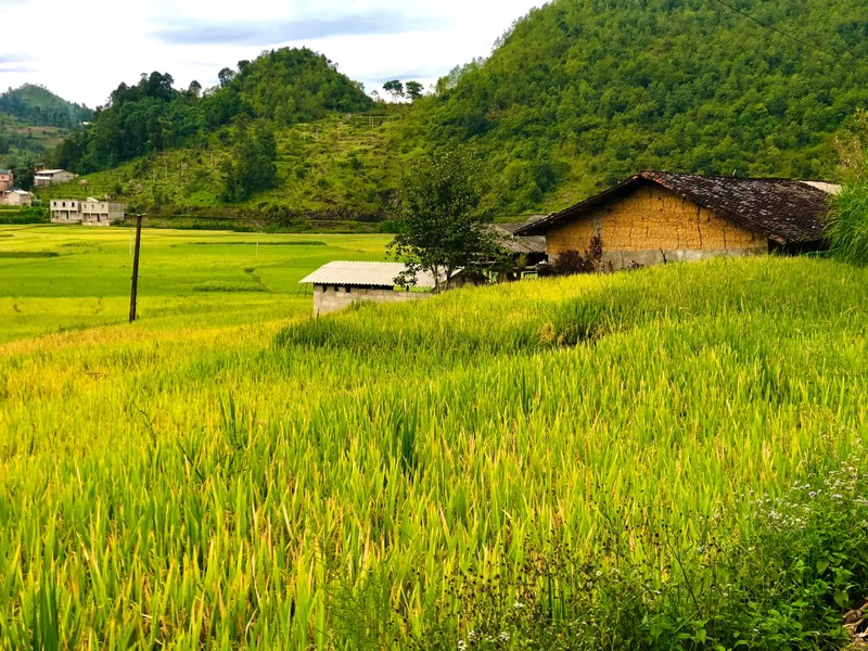 Nhung ngoi lang co o Ha Giang phai ghe tham mot lan-Hinh-10