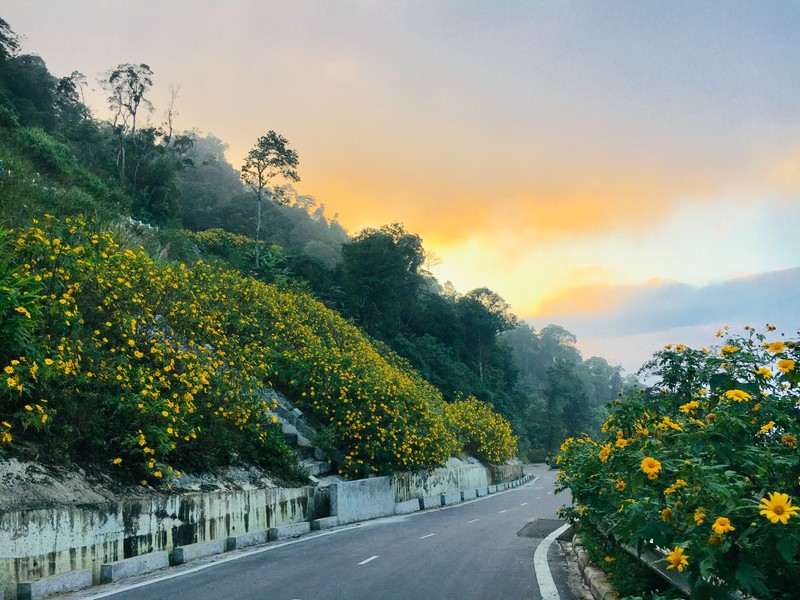 Gioi tre “san” hoa da quy o ngay gan trung tam Ha Noi-Hinh-2