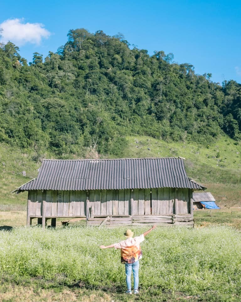 Gioi tre check in dong hoa cai trang muot o Moc Chau-Hinh-8