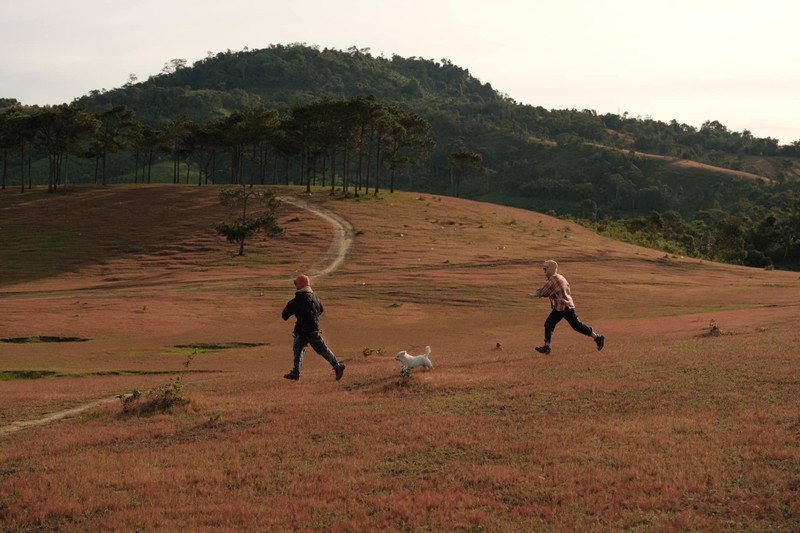 Canh dep nhu tranh cua doi co hong hoang so gan Da Lat-Hinh-6