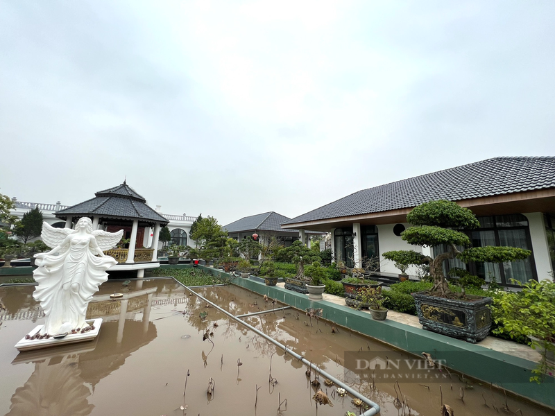 Chu nhan ngoi nha bat ngo noi tieng tai Thanh Hoa noi gi?-Hinh-7