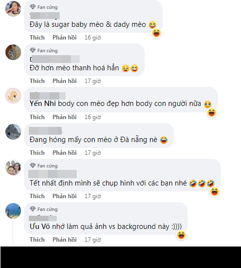 Xuat hien them linh vat meo phien ban quy toc o Da Lat-Hinh-2