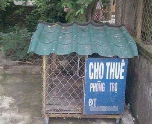 Loat bien hieu ba dao kho hieu nhat chi co tai Viet Nam-Hinh-10