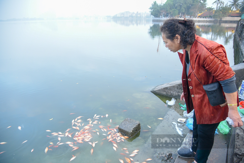 Ca chep “ngua bung” cung tro tan trong ngay Tao quan ve troi-Hinh-2