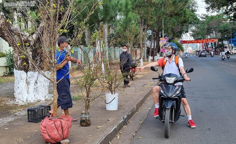 Mai rung un un xuong pho, hut khach hoi mua choi Tet-Hinh-3