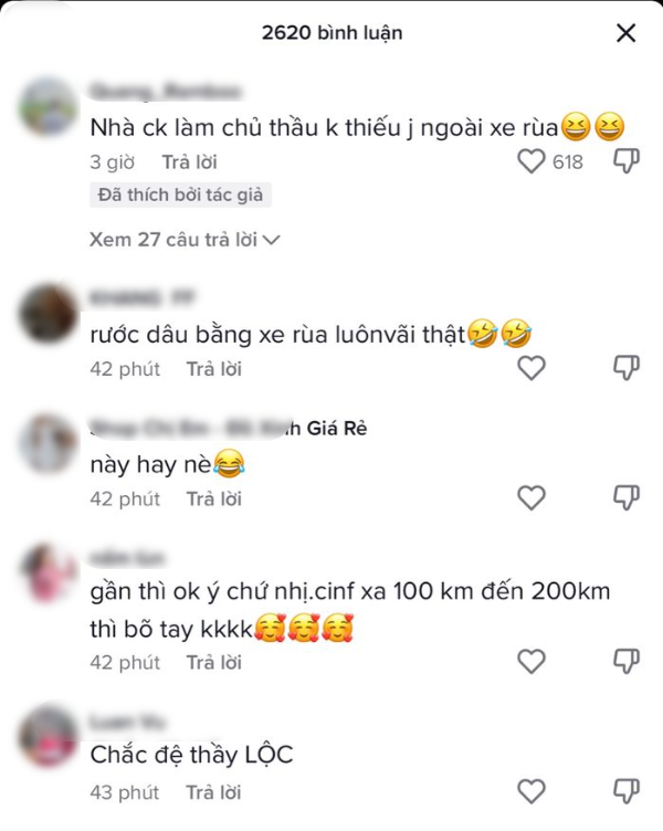 Dam cuoi doc la ruoc dau bang xe rua ai cung phan khich-Hinh-4