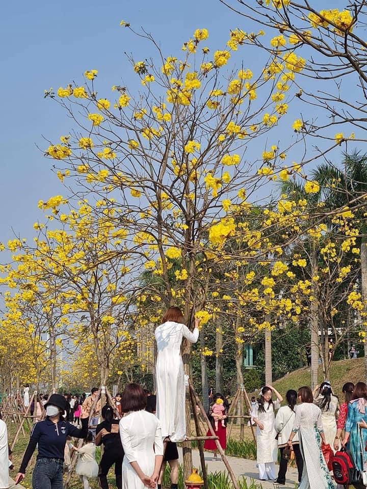 Ngan ngam canh chi em mac ao dai van treo cay chup anh-Hinh-6