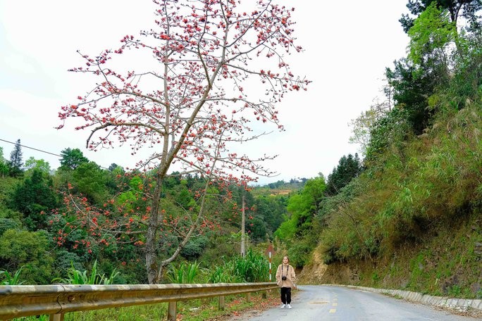 Me man ngam hoa gao ruc do nui rung Ha Giang-Hinh-2