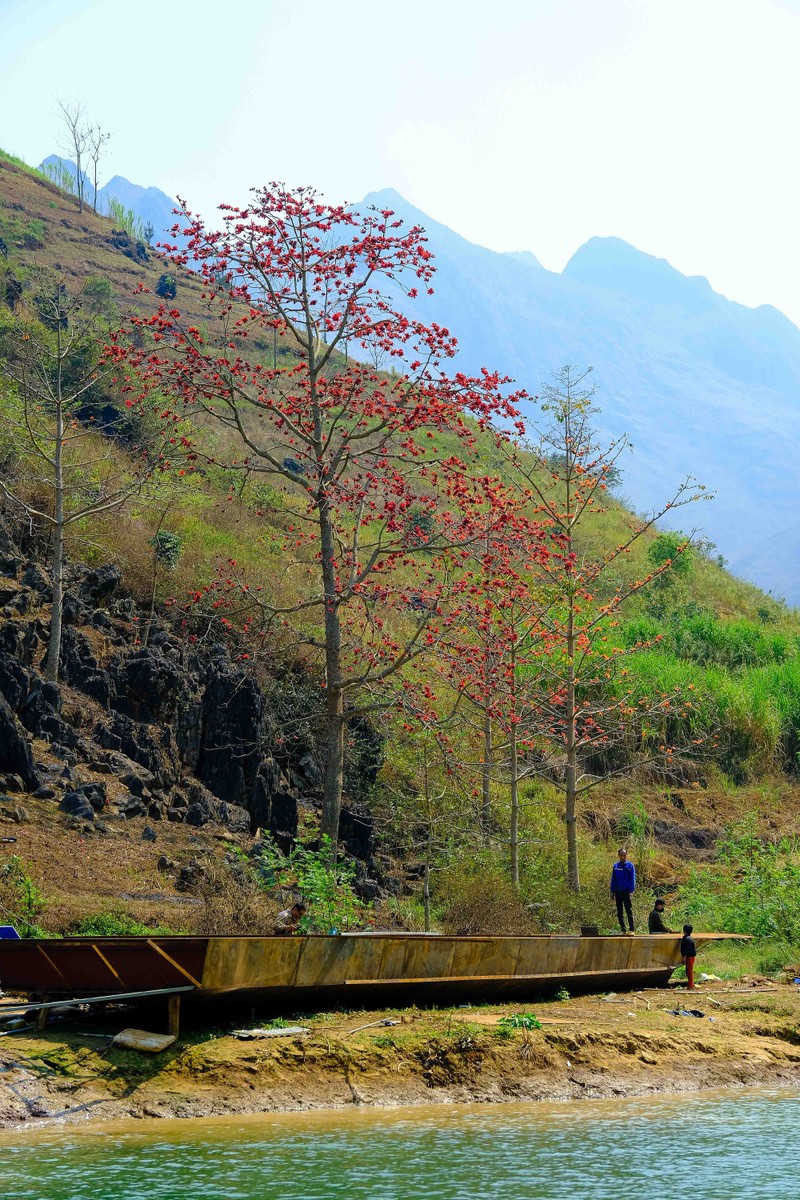 Me man ngam hoa gao ruc do nui rung Ha Giang-Hinh-7