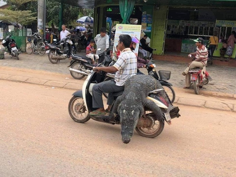 Nhung pha “lam xiec” tren duong cua nguoi Viet khien netizen hu hon-Hinh-2