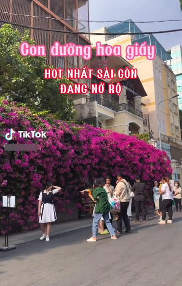 Diem check-in duong hoa giay Dang Tat treo bien han che chup anh-Hinh-5