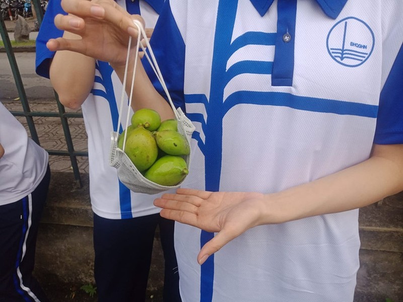 Xoai no ro san truong, sinh vien thi nhau khoe chien loi pham-Hinh-10