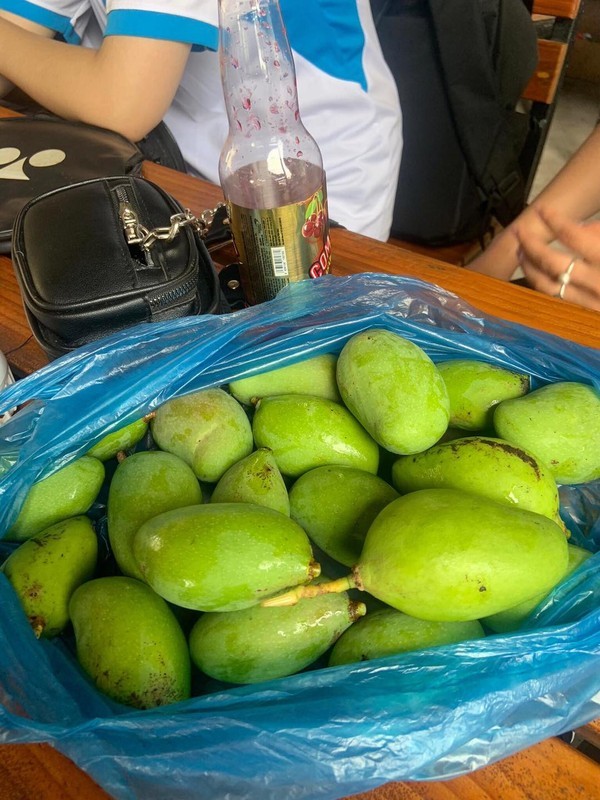Xoai no ro san truong, sinh vien thi nhau khoe chien loi pham-Hinh-9